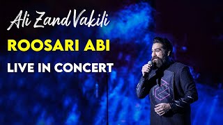 Ali Zand Vakili  Roosari Abi I Live In Concert  علی زندوکیلی  روسری آبی [upl. by Yrreiht649]