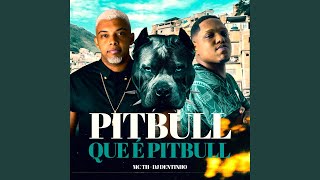 Pitbull Que É Pitbull [upl. by Aisatnaf]