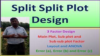 Split Split Plot Design [upl. by Graniela]