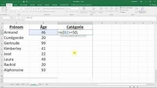 Comment utiliser la fonction SI  condition à 2 choix  Cours facile EXCEL [upl. by Thapa]