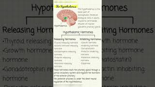 Hypothalamus anatomy and Hypothalamic Hormones [upl. by Klarika]