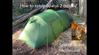 Naturehike Opalus 2 setup and put down [upl. by Reyem]