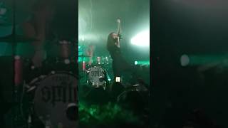 Spite  Dedication To Flesh Live Clip 2024 shorts [upl. by Hellman]