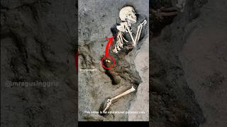 Penemuan Arkeologi Luar Biasa Di Pompeii Italia sejarah faktaunik misteri [upl. by Zasuwa692]