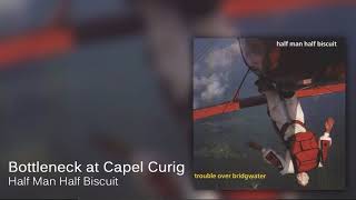 Half Man Half Biscuit  Bottleneck at Capel Curig Official Audio [upl. by Gorrian]