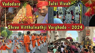 Vitthalnathji No Varghodo 2024  Dev Uthani Ekadashi  Tulsi Vivah  Vitthal Mandir Mandvi Vadodara [upl. by Yrbua684]