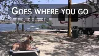 Your Dogs Go Anywhere Bed  Kuranda [upl. by Htenek]