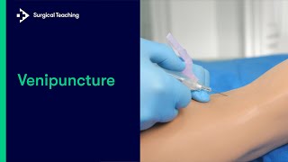 How to Perform Venipuncture [upl. by Annadroj]