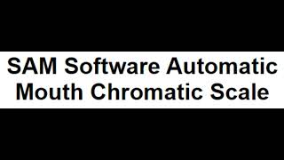 Sam Chromatic Test [upl. by Enawyd]