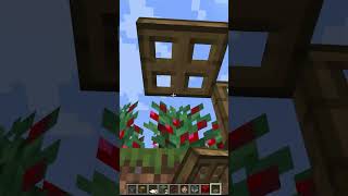 minecraft sweet berry farm 麥塊甜莓農場 minecraft shorts [upl. by Samoht]