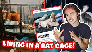 He Was Living in a RAT cage 😳 RESCUING a Hairless Guinea Pig [upl. by Banwell932]