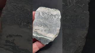 Dendritic amp Lightning Silver in Dolomite Hargrave Mine Coleman Twp silver preciousmetals [upl. by Tenney151]