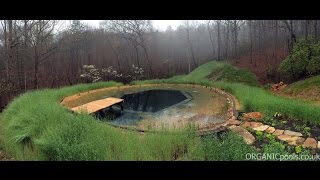 How to make a Natural  Organic Pool in America [upl. by Alejandro]