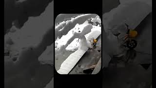 Unexpected Snowfall Hits a Working Woman Her Reaction Will Shock You [upl. by Ellehcam]