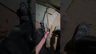 New cane Part 1 walkingsticks woodcraft woodworking craft [upl. by Buyer]