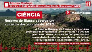 Reserva moçambicana do Niassa tem 70 anos [upl. by Ennaeilsel]