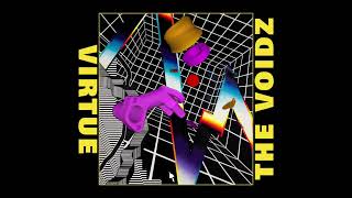 The Voidz  Pointlessness Autofilter Cover  V50 Day 27 [upl. by Ahsa]