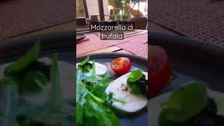 mozzarella di bufala plating recipe [upl. by Svirad582]