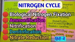 नाइट्रोजन साइकिल सारा कन्फ्यूजन खत्म  nitrogencycle [upl. by Eikcuhc385]