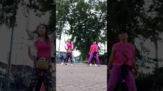 ZUMBA  ALL DAY dailyvlog dancefitlife trendingshorts [upl. by Otrevogir]