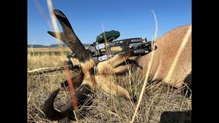 24 Wyoming Archery Antelope Hunt [upl. by Vinia]