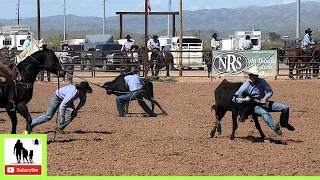 Stray Gathering  2024 Lowell Goemmer Memorial Rodeo [upl. by Aicenra]