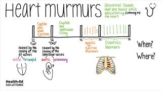 Heart Murmurs Overview Heart Murmur Series [upl. by Akinimod]