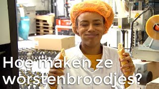 Hoe worden worstenbroodjes gemaakt  Vragen van Kinderen [upl. by Billye]