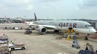 Qatar Airways A3501000 Economy Class  Singapore SIN to Doha DOH  Trip Report [upl. by Olleina23]