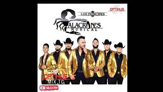 ALACRANES MUSICAL MIX 2023  RANCHERAPOLKAS Y ZAPATEADOS🎧🎥🇲🇽 djoptimuseloriginal [upl. by Nnaeiluj]