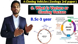 Cloning Vectors  Expression vector  BSc 3rd year Zoology second paper  Biotechnology [upl. by Lleroj]