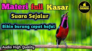 KOLIBRI NINJA GACOR FULL ISIAN MATERI KASAR COCOK BUAT MASTERAN KONIN BAHAN BELAJAR BUNYI NEMBAK [upl. by Aleacim]