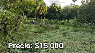 Terreno en venta 15000  875 mts Cuadrados según escrituraAprox 3 lotes y medio en total [upl. by Kingdon201]