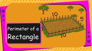 Maths  Perimeter of a Rectangle  English [upl. by Atenik]