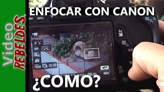 Tip para enfocar mejor el video con las cámaras Canon DSLR [upl. by Ikcaj]