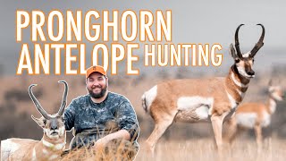 Pronghorn Antelope Hunting made EASY [upl. by Ahsiner300]