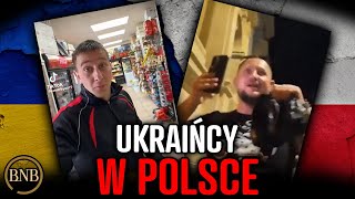 Ci Ukraińcy UPOKARZAJĄ Polskę W Internecie Ciekawy film o życiu [upl. by Kauffman216]