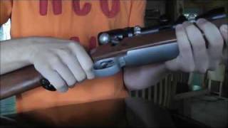 Winchester Model 70 Stainless Featherweight 243 [upl. by Hoag285]