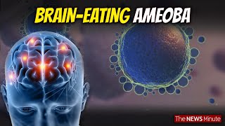 Explained What is BrainEating Amoeba that causes Amoebic Meningoencephalitis Health [upl. by Chrisman173]