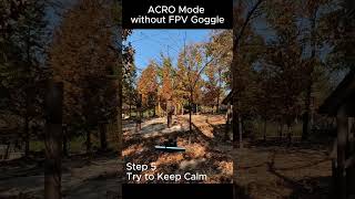 How to Clean Autumn Leaves with FPV Drones drone djio3 fpv fpvcinematic howto fpv4k insta360 [upl. by Nolahc]