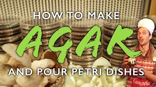 How to Make Agar Media and Pour Petri Dishes for Mushroom Cultivation [upl. by Leunamnauj]