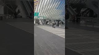 LiègeGuillemins railway station [upl. by Reidar]