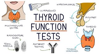 Understanding Thyroid Function Tests [upl. by Delphine]