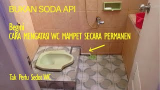 Begini Cara Mengatasi WC Mampet Secara Permanen [upl. by Llertnahs]