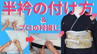 半襟のつけ方と襟綴じ【留袖・比翼編】長襦袢に半襟を縫い付けます🎵【てるさんの着付】 [upl. by Arraic161]