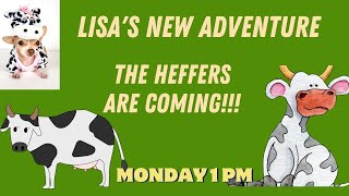 LISAS NEW ADVENTURE [upl. by Hafler]