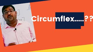 circumflex10 words having circumflexusage and pronunciationthe English guidelearn English [upl. by Takeshi834]