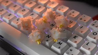 Lubed Gateron Milky Yellow Linear Switches ASMR Typing Sounds [upl. by Truscott833]