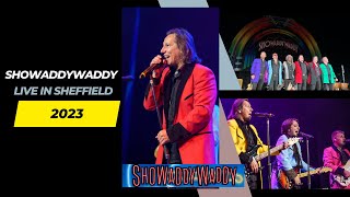 PRETTY LITTLE ANGEL EYES  SHOWADDYWADDY LIVE AT SHEFFIELD CITY HALL 2023 [upl. by Kieran]