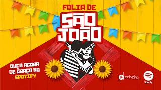 O Melhor São João do Brasil  Festa Junina  Playlist atualizada 2023 [upl. by Llorrac]